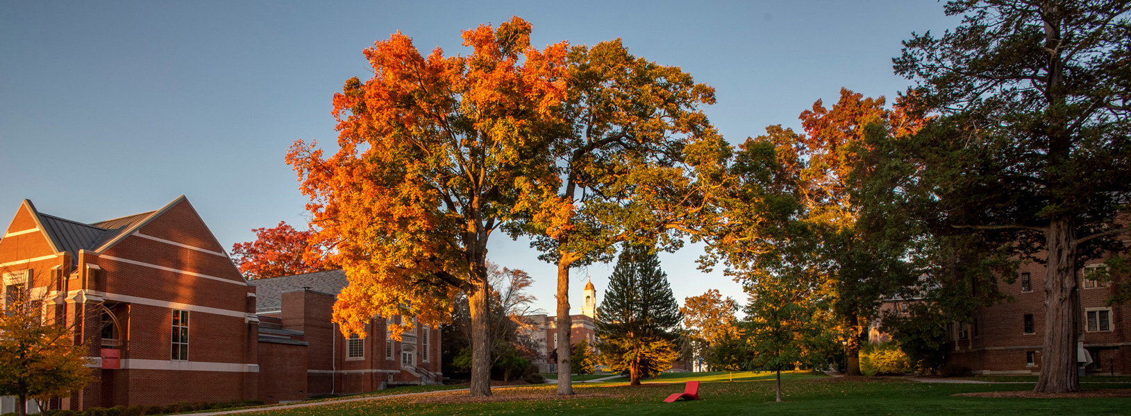 Students walking near the William Benton Museum of Art during the fall.